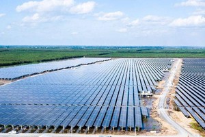 Triển vọng sáng hơn với cổ phiếu năng lượng tái tạo sau xung đột Nga - Ukraine