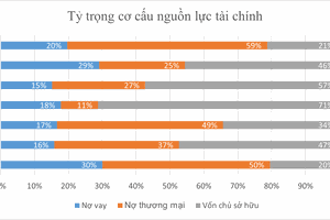 Nguồn: Báo cáo tài chính hợp nhất 2021, tổng hợp