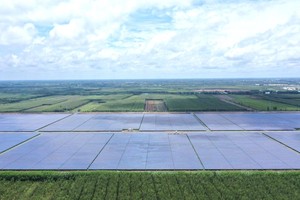 Doanh nghiệp đầu tư vào điện mặt trời mong được “gỡ khó”