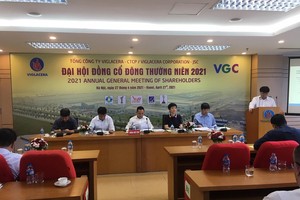 ĐHCĐ Viglacera: Nhà nước sẽ thoái hết vốn vào năm 2022