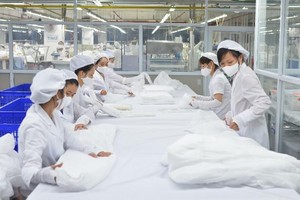 TNG ước đạt 80 tỷ đồng lợi nhuận sau thuế bán niên, tăng 25% so với cùng kỳ