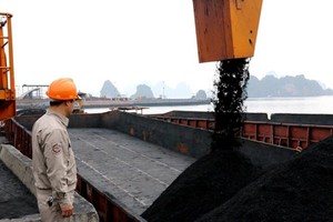 Vì sao cổ phiếu than tăng mạnh?