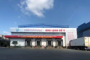 Giá cá tra tăng cao, IDI mở rộng quy mô sản xuất