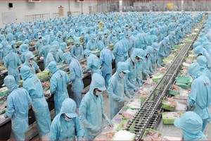 Giá cá tra xuất khẩu cao hơn mức đỉnh 2019, doanh nghiệp đẩy nhanh kế hoạch nâng công suất