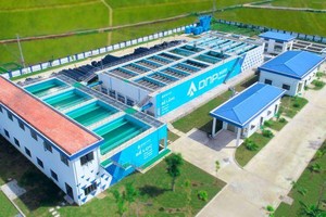 Nhà máy nước DNP Bắc Giang