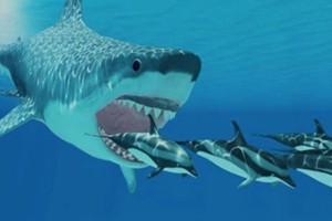 Doanh nghiệp “cạn tiền” và manh nha những cuộc bán mình