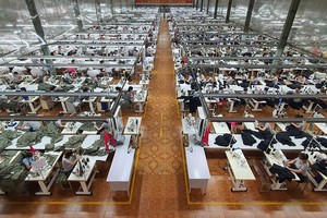 May Sông Hồng (MSH): Đơn hàng năm 2023 tăng trưởng ổn định