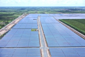 Bamboo Capital (BCG) duy trì dòng tiền vững chắc, thúc đẩy kế hoạch tăng vốn chủ sở hữu