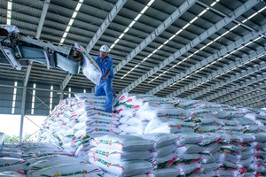 Ngay sau đại hội, PVCFC (DCM) chốt quyền chia cổ tức 20% bằng tiền mặt