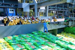 Doanh nghiệp phân bón cam kết ổn định giá bán dù nguyên liệu tăng