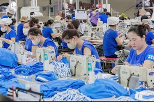 TNG hoàn thành 99% kế hoạch doanh thu năm sau 11 tháng