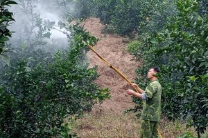 Thuốc sát trùng Việt Nam (VPS) trả cổ tức năm 2020 bằng tiền tỷ lệ 7,5%. 