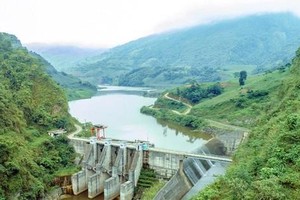 Nedi 2 (ND2) chốt danh sách trả cổ tức năm 2020, tỷ lệ 20%