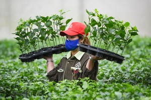 Nafoods Group (NAF): Lãi ròng quý II đạt kỷ lục 28,46 tỷ đồng, tăng 34%