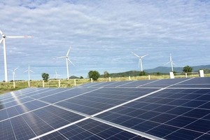 Năng lượng và Bất động sản Trường Thành (TEG) chuyển nhượng 400.000 cổ phần tại CTCP Trường Thành Đại Phát