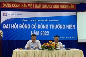 ĐHCĐ PITCO (PIT): Năm 2022 kinh doanh thêm dịch vụ đại lý tàu biển, phấn đấu có lãi 3,7 tỷ đồng sau khi lỗ 5,6 tỷ đồng năm 2021