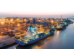 Vượt 17% mục tiêu lợi nhuận 2024, Cảng Đình Vũ (DVP) sẽ chi 120 tỷ đồng trả cổ tức tỷ lệ 30%