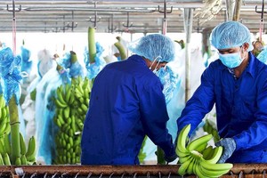 Hoàng Anh Gia Lai (HAG) góp 27,5 tỷ đồng thành lập công ty bán buôn thực phẩm