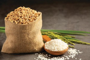 Cổ phiếu gạo “bình thản” trong mùa vàng xuất khẩu