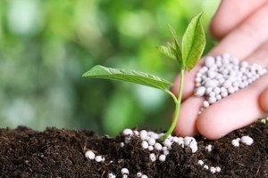 Năm 2023, ngành phân bón sẽ chịu áp lực từ mức nền cao