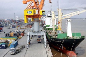 Cảng Đồng Nai (PDN) chốt quyền tạm ứng đợt 1/2023 bằng tiền, tỷ lệ 12%