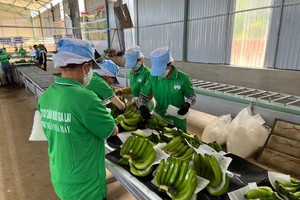 Hoàng Anh Gia Lai (HAG): Quý I/2023 ước lãi 308 tỷ đồng, đạt 27,2% kế hoạch dự kiến