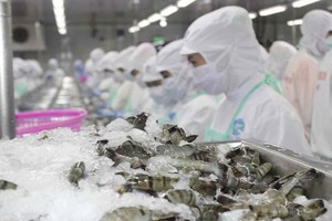 EU nhập khẩu 30 tỷ EUR thủy sản mỗi năm, thị phần hàng Việt còn “khiêm tốn”