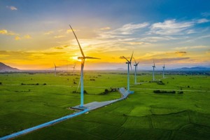 Chứng khoán Rồng Việt điểm tên 2 doanh nghiệp sẽ hưởng lợi từ cơ chế DPPA