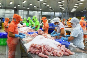 Xuất khẩu cá tra tăng trưởng 10% trong 8 tháng, thị trường CPTPP và ASEAN bứt phá