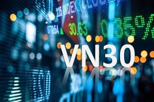 DSC dự báo danh mục VN30 quý I/2025 sẽ thêm mới một cổ phiếu ngân hàng và loại POW