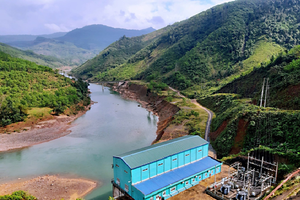 Đầu tư Điện lực 3 (PIC): Lợi nhuận sau thuế quý II/2023 sụt giảm 66%