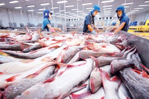 CPTPP trở thành động lực tăng trưởng mới của xuất khẩu cá tra, Nhật Bản là điểm sáng