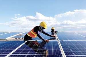 Nam Phương Energy lỗ thêm 93 tỷ đồng trong nửa đầu năm 2024, kéo vốn chủ sở hữu về mức âm 