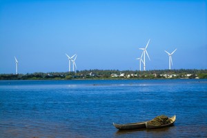 Halcom Việt Nam (HID) đặt mục tiêu có lãi 17,8 tỷ đồng năm tài chính 2024, quý I lỗ hơn 21,2 tỷ đồng