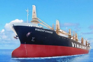 Vinaship (VNA) muốn bán một tàu “già” 27 tuổi và trả cổ tức cho cổ đông tỷ lệ 6%