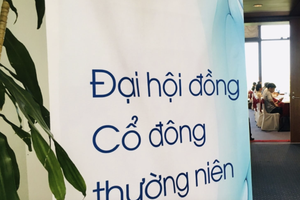 Tổ chức đại hội cổ đông trực tuyến và “hybrid”: Doanh nghiệp còn nhiều lăn tăn 