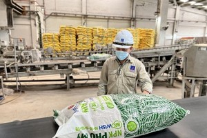 Phân bón và Hoá chất Dầu khí Miền Trung (PCE) giảm 12,5% mục tiêu lợi nhuận năm 2025