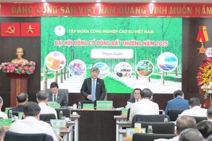 ĐHCĐ bất thường Tập đoàn Cao su Việt Nam (GVR): Chuẩn bị đầu tư 2.604 ha khu công nghiệp từ đất cao su chuyển đổi