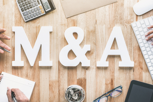 Thực phẩm Hồng Hà (HSL) muốn chi hơn 73 tỷ đồng thâu tóm 2 công ty bất động sản