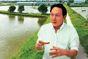 Chiến lược thâu tóm của “vua cá” HVG