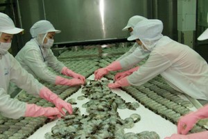 CMX bắt tay với Lotte để nuôi trồng và sản xuất tôm