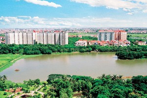 “Săn” dự án bằng chiêu độc