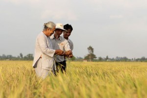 AGPPS cơ cấu lại cổ đông