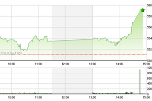 Phiên chiều 6/6: Cổ phiếu chứng khoán lại nổi sóng