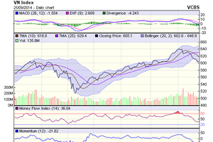 Biểu đồ kỹ thuật VN-Index. Nguồn: VCBS