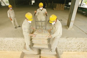 11 tháng đầu năm, tiêu thụ xi măng nội địa đạt 46,16 triệu tấn, xuất khẩu 18,3 triệu tấn