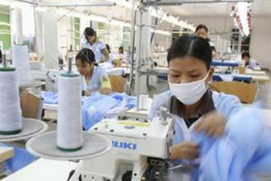 GIL tính trả cổ tức “khủng” 80% bằng tiền cho năm 2014