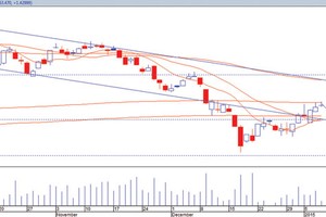 Thị trường đang phục hồi tích cực