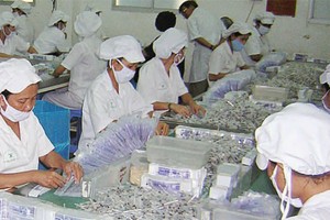 FIT bất ngờ thông báo nắm giữ hơn 16% vốn tại DCL