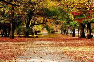 Sự kiện chứng khoán đáng chú ý ngày 18/3